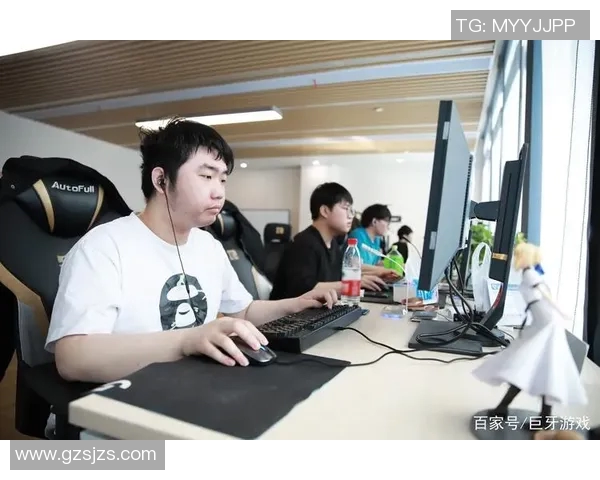 DOTA2深度解析RNG战队核心选手个人能力与战术风格的全面探讨